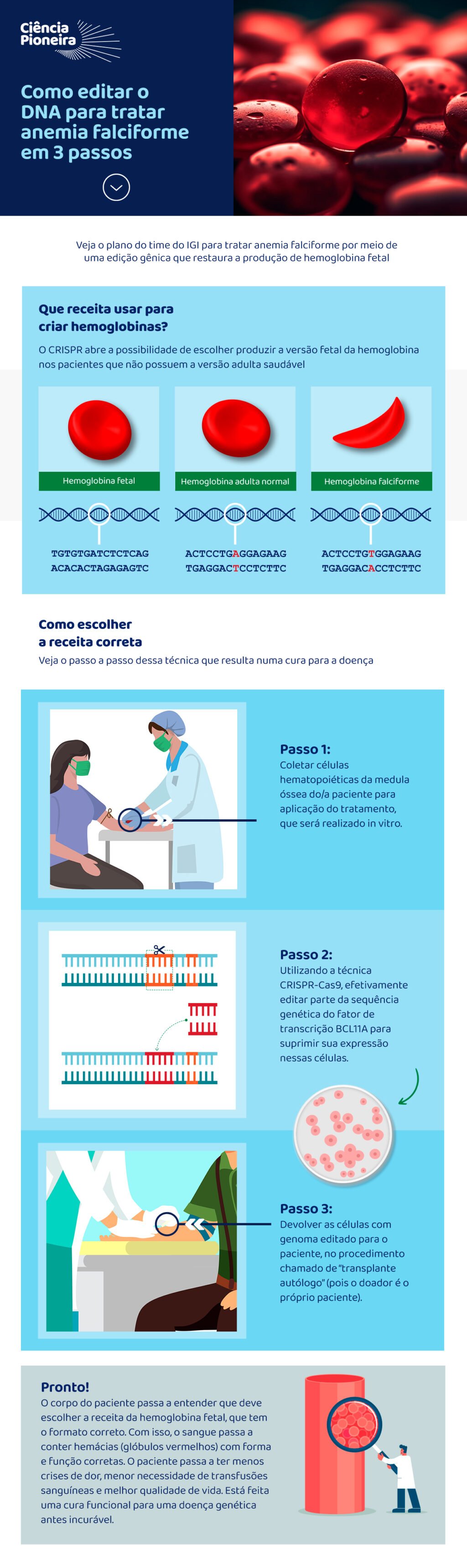 infográfico CRISPR anemia falciforme
